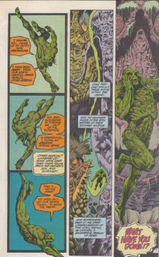 Extrait de Swamp Thing Vol.2 (DC Comics - 1982) -65- (We Could Be) Diving for Pearls