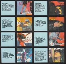Extrait de Elektra: Assassin (1986) -INT- Elektra: Assassin