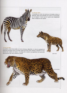 Extrait de Tigre -HS- Tigre - Panthera Tigris