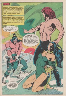 Extrait de Arion (Duursema) -2- La quête du mage