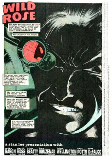 Extrait de The punisher Vol.02 (1987) -7- Wild Rose