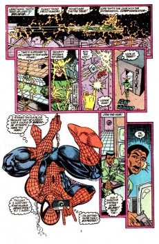 Extrait de The amazing Spider-Man Vol.1 (1963) -334- Secrets, puzzles and little fears...