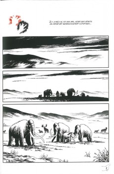 Extrait de L'art préhistorique en Bande Dessinée -2- Deuxième époque