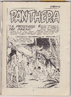 Extrait de Atemi (Aventures et Voyages) -139- Panthéra - La Forteresse des marais