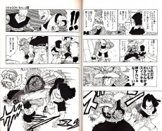 Extrait de Dragon Ball (en japonais) -30- Jaaku na Yokan