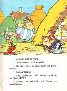 Extrait de Astérix (Au pays d') -5- Les enfants de babaorum