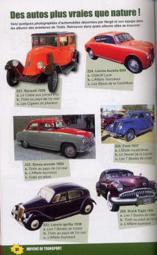 Extrait de Tintin - Divers -2014/01- La Tintinophilie en 300 questions