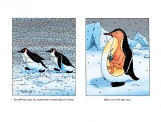 Extrait de Les manchots sont de sacrés pingouins