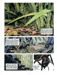 Extrait de Les fourmis