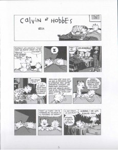 Extrait de Calvin et Hobbes -14Poc2011- Va jouer dans le mixer !