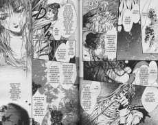 Extrait de Angel Sanctuary -8- Volume 8
