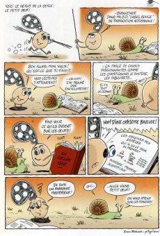 Extrait de Le petit œuf -7- Cocottes et cocotiers !