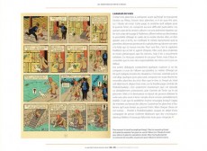 Extrait de Tintin - Divers -2014/09- La Malédiction de Rascar Capac - Volume 2 : Les Secrets du temple du Soleil