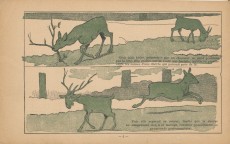 Extrait de (AUT) Rabier - L'esprit des bêtes : Le cerf et le renne