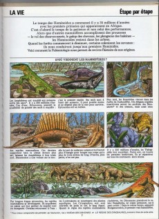 Extrait de D'où vient l'homme ? - Encyclopédie animée de l'évolution de la vie -3- Le temps des hominoïdes