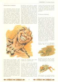 Extrait de Lanfeust de Troy -HS3- Encyclopédie Anarchique du Monde de Troy (Second Volume: Les Trolls)
