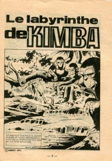 Extrait de Aventures Films (3e Série - Arédit) -12- Le labyrinthe de Kimba