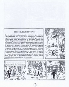 Extrait de Tintin - Pastiches, parodies & pirates - Tintin dans le Golfe