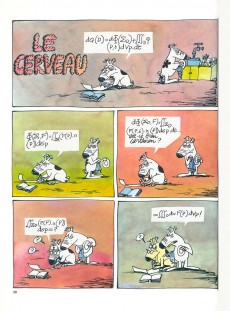 Extrait de Les amours écologiques du bolot occidental - Les amours écologiques du Bolot Occidental