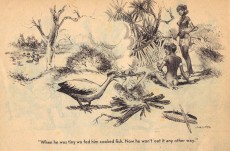 Extrait de Witchetty's Tribe Aboriginal Cartoon Fun (1950) -37- Witchetty's Aboriginal Cartoon Fun n°37