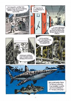 Extrait de La petite Bédéthèque des Savoirs -3- Les Requins - Les connaître pour les comprendre