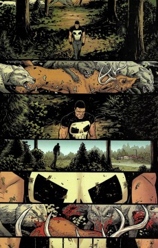 Extrait de The punisher Vol.11 (2016) -7- Into The Wild