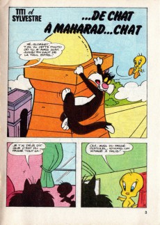 Extrait de Titi (Poche) -99- ... de chat à Maharad