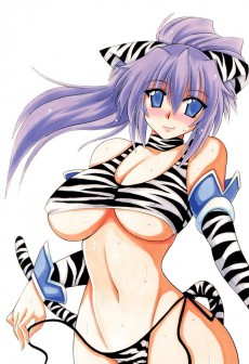 Extrait de Toranoana - Toranoana chronicle 2005