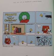 Extrait de Peanuts (en anglais) - The Joy of Peanuts Christmas