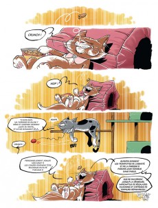 Extrait de Croquettes Story