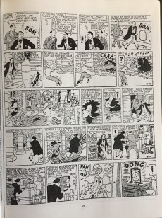 Extrait de Tintin - Pastiches, parodies & pirates -1982- Le naufrage de la Licorne