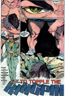Extrait de The punisher Vol.02 (1987) -15- To Topple The Kingpin