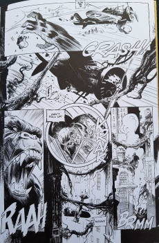 Extrait de The kong Crew (en anglais) -1- Issue # 1