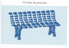 Extrait de Ouïes-dire & Récits natatoires -2- Pourvu qu'elle soit douce !