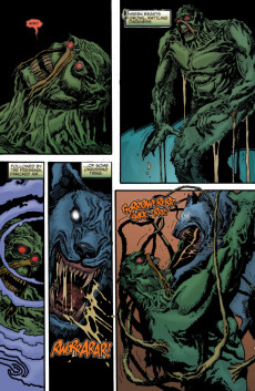 Extrait de Swamp Thing Vol.4 (DC comics - 2004) -23- (sans titre)