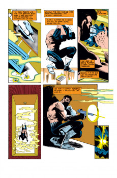 Extrait de The punisher Vol.01 (1986) -5- Final Solution Part 2