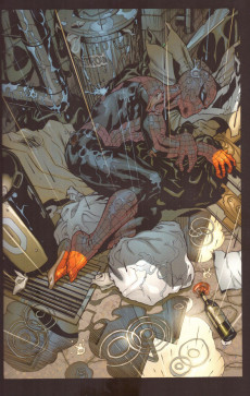 Extrait de Spider-Man - Le dernier combat -b- Spider-Man par Millar & Dodson