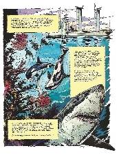 Extrait de L'aventure de l'équipe Cousteau en bandes dessinées -11- Le seigneur des requins (La légende du grand requin blanc 2)