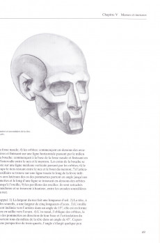 Extrait de (AUT) Hogarth - Le dessin anatomique facile