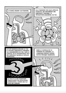 Extrait de Cannabis - La criminalisation de la marijuana aux États-Unis