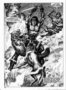 Extrait de The savage Sword of Conan The Barbarian (1974) -133- Winter of the Wolf 