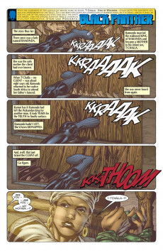 Extrait de Black Panther Vol.3 (1998) -12- Enemy of the State, Conclusion: The Taking of Wakanda 1-2-3