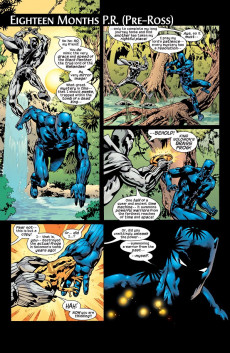 Extrait de Black Panther Vol.3 (1998) -49- The Death of the Black Panther, part 2 : The King is Dead