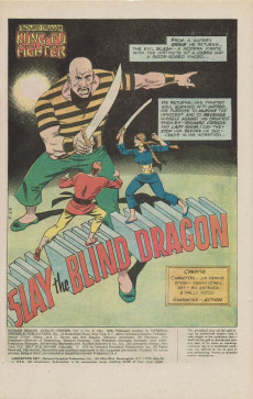 Extrait de Richard Dragon, Kung-Fu Fighter (DC Comics - 1975) -8- Blinded!