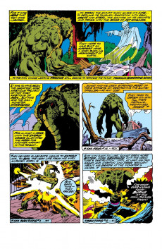 Extrait de Man-Thing (Giant Size) (Marvel Comics - 1974) -2- The Monster Runs Wild!