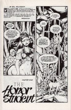 Extrait de Ironwood (1991) -9- Ironwood #9