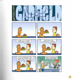 Extrait de Garfield (Presses Aventure - carrés) -75- Album Garfield #75