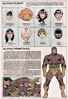 Extrait de (DOC) The Official Handbook of the Marvel Universe Vol.1 (1983) -1- A: From Abomination to Avengers Quinjet