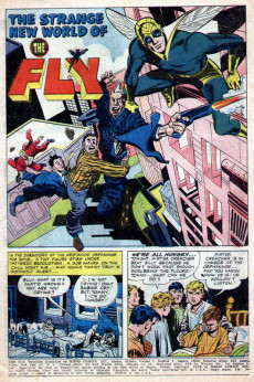 Extrait de Adventures of the Fly (1960) -1- The Fly Battles Spider Spry!