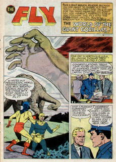 Extrait de Adventures of the Fly (1960) -10- Issue # 10